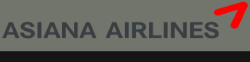 OZ airline logo